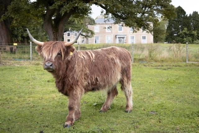 Manar House Villa Inverurie Luaran gambar